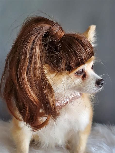 Pet wigs - Features: The pet wigs feature with bright colors, which will give a eye-catching appearance to your pets, creating a strong holiday or party atmosphere, also can braid the wigs, braided into your favorite hairstyle. Before using, you can comb the dog and cat wig or cut it slightly to fit your pets, gaining a better wearing effect. By wearing these …